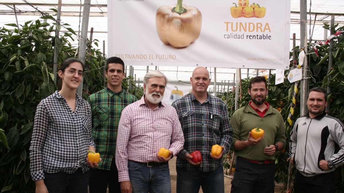 La gama de pimientos California de Zeraim ha sido todo un éxito entre los agricultores.