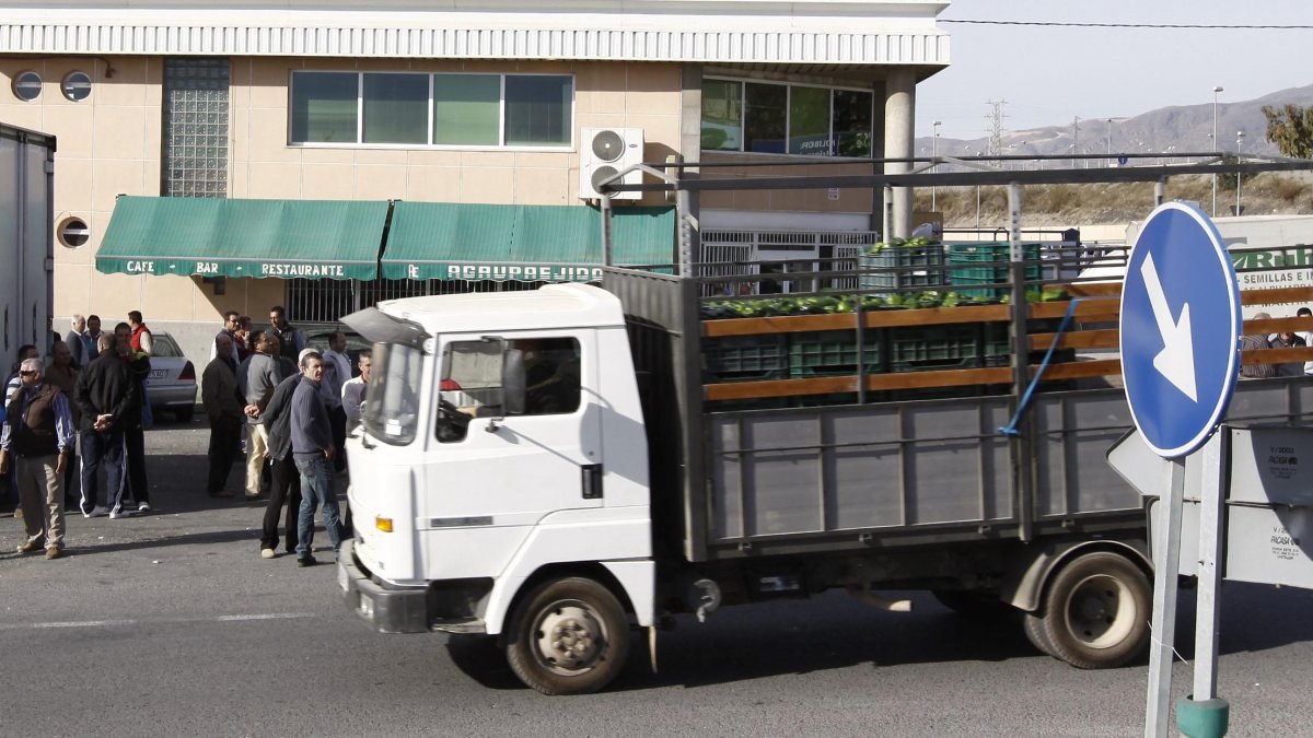 Los camiones  foráneos hacen dumping a los transportistas locales al trabajar con precios por debajo de coste.