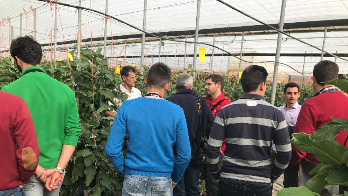Estudiantes onubenses visitando una finca de un agricultor almeriense.