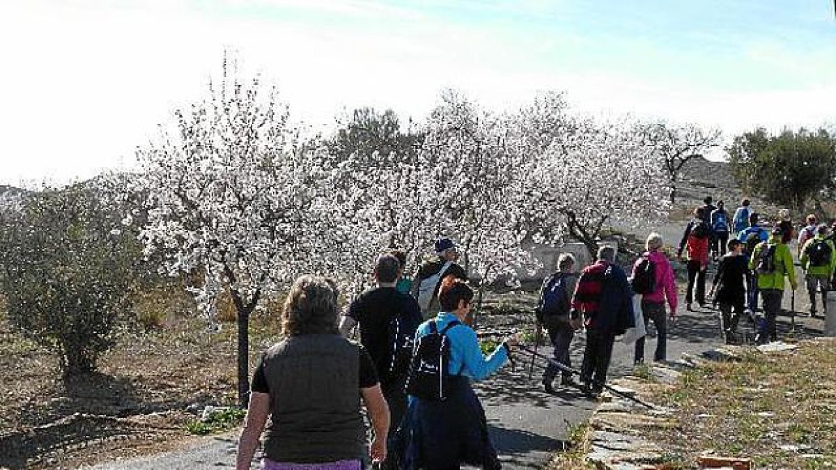 Ruta del Almendro de Albox de hace unos años.
