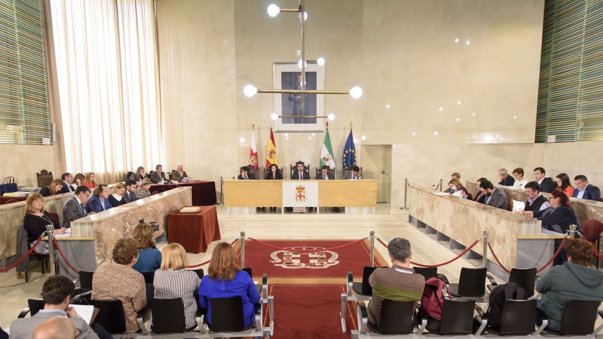 Vista general del salón de plenos