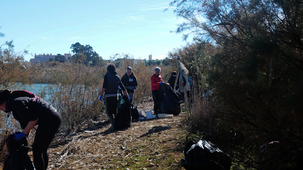 Recogida de basura en una de las orillas de la Balsa del Sapo, en Las Norias.