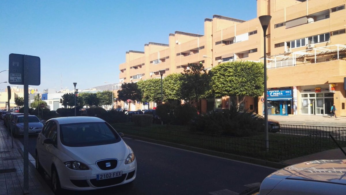 El viento azotando los árboles de la ciudad.
