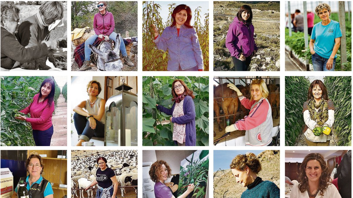 Las quince mujeres protagonistas del libro de Araceli Sobrino.