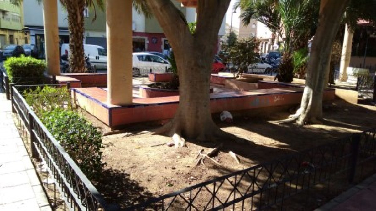 Jardín deteriorado en el Zapillo.