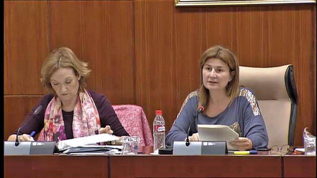 Imagen de la parlamentaria del PP.