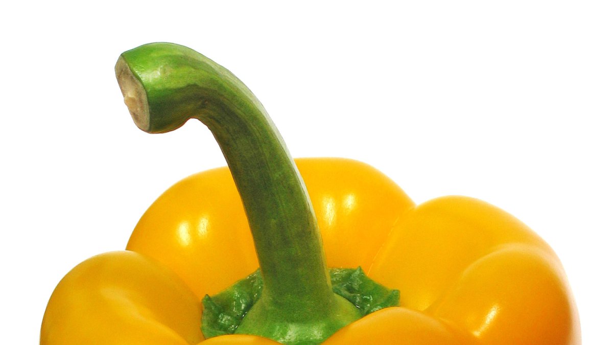 El pimiento 