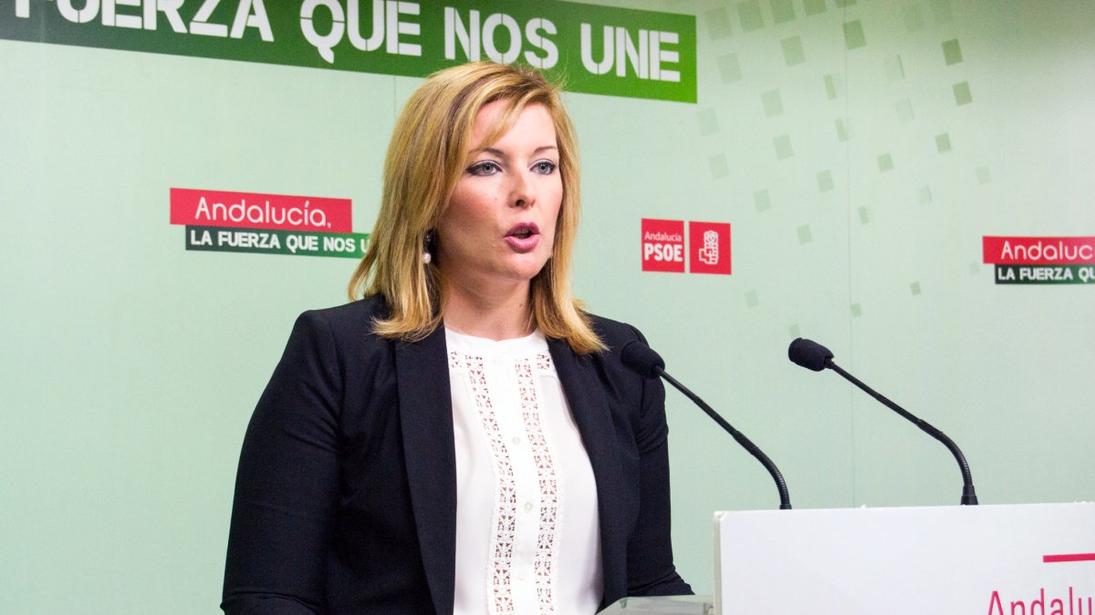 Teresa Piqueras durante su comparecencia pública.