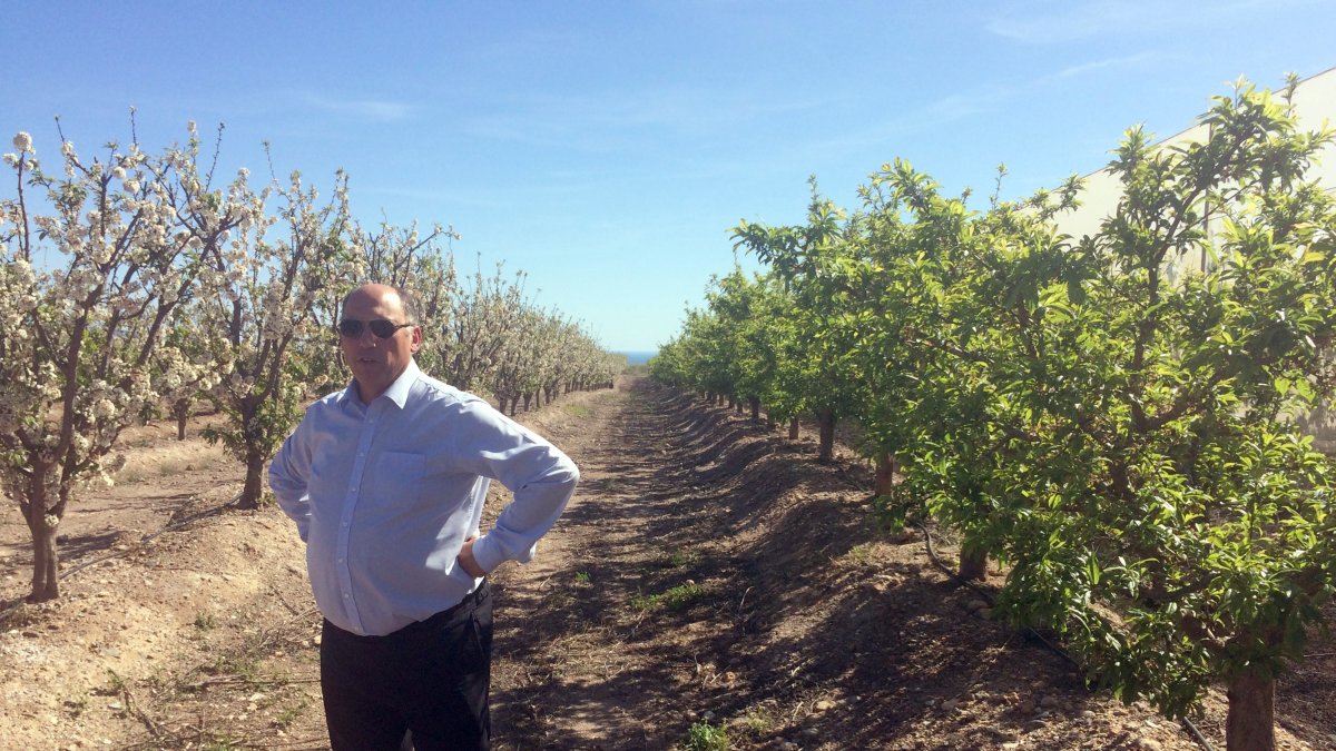 Fernando  Cosmen, gerente de Calebus, junto a los ciruelos en flor.