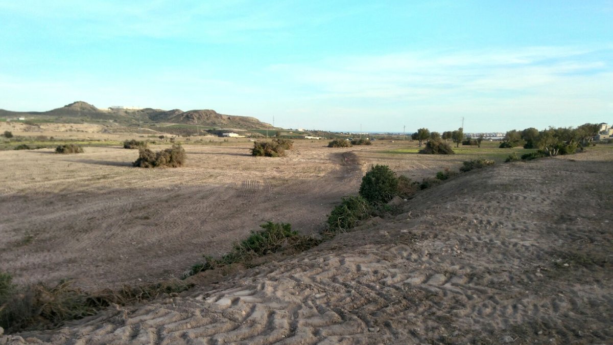 Terrenos donde se está trabajando con la huella de la maquinaria agrícola.