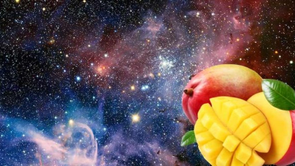 La monitorización del proyecto dictaminará si las expectativas de los científicos se ven cumplidas o no.