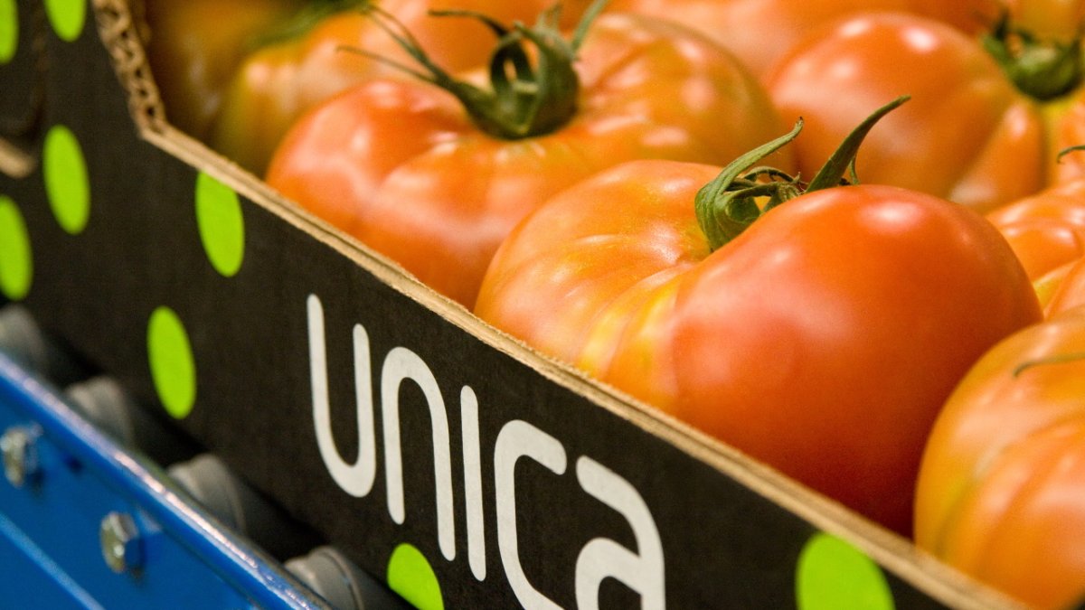 La cooperativa Unica Group se destaca como potencia exportadora a los mercados europeos.