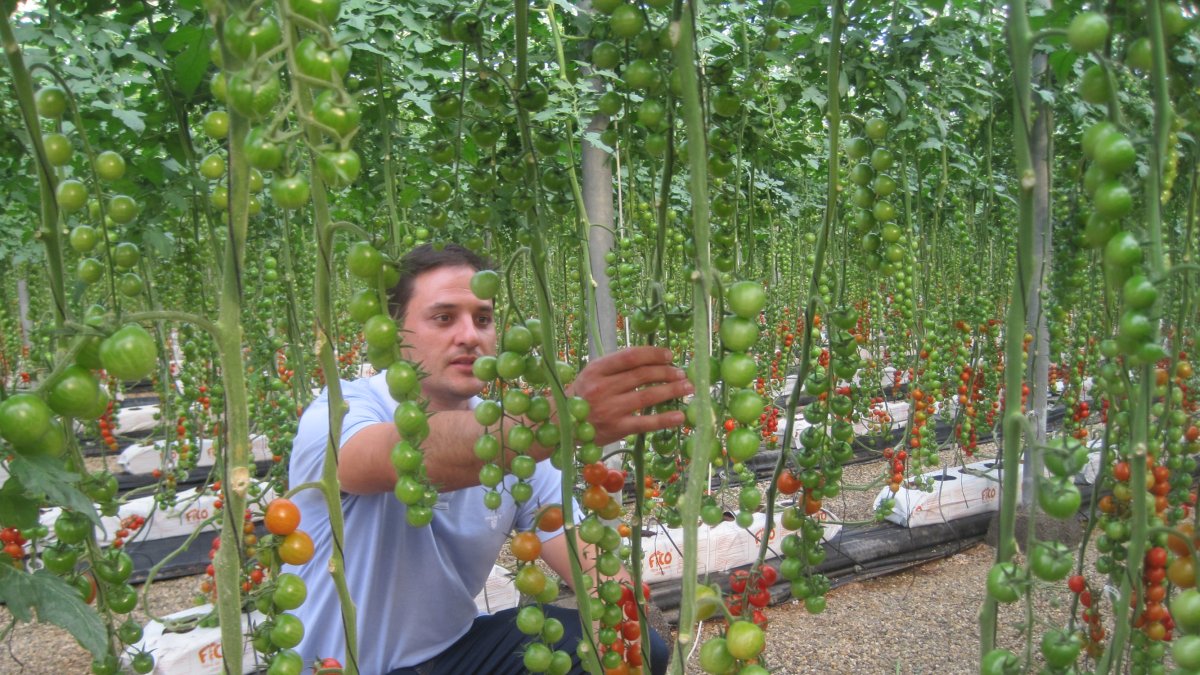 Un joven agricultor controla su explotación.