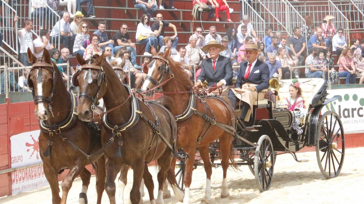 Amantes del mundo equestre han podido disfrutar durante dos días en Adra de un gran número de actividades, con los equinos como protagonistas, donde