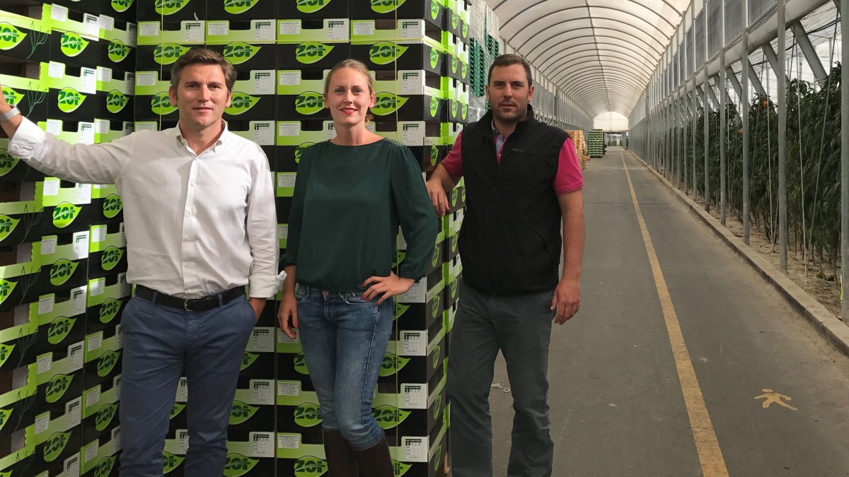 Francisco, Adelina y Antonio Salinas Clemente,  en uno de sus modernos invernaderos en Pechina.