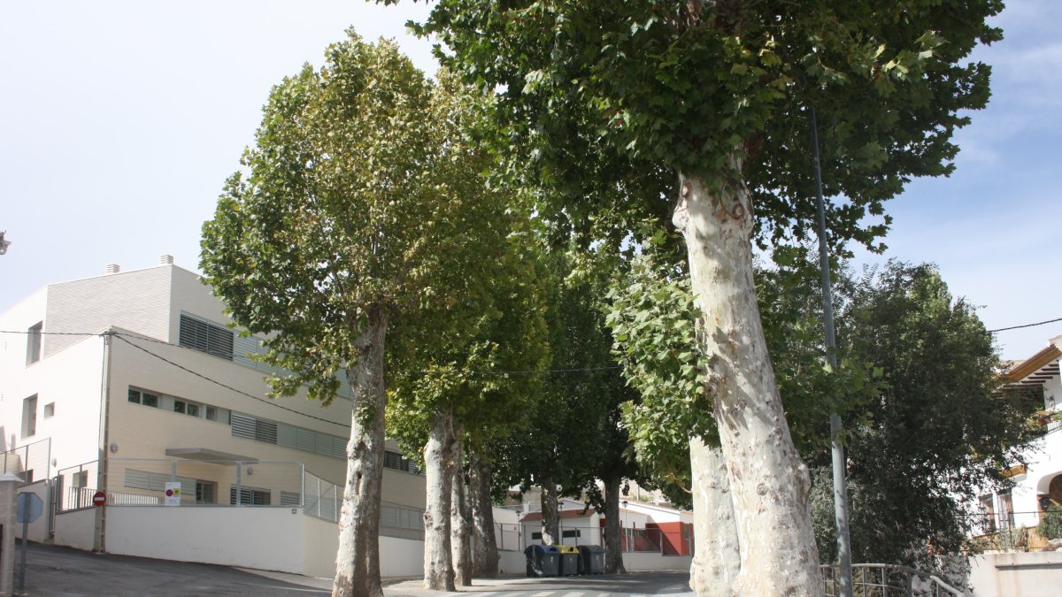 El proyecto permitirá a los peatones y visitantes evitar la travesía de la carretera.