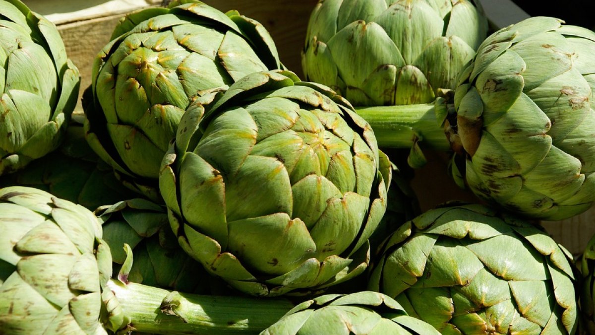 La alcachofa es un producto con grandes cualidades nutricionales.