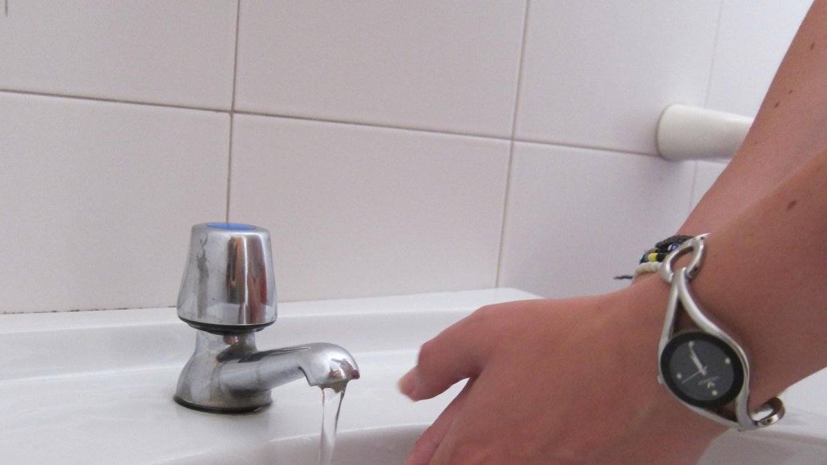 La higiene de manos previene la transmisión de gérmenes asegura el doctor del Diego.