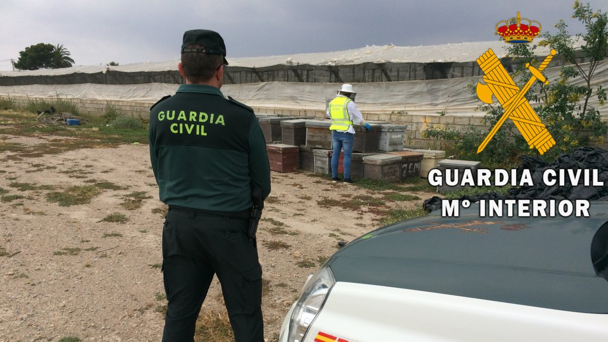 Agentes de la Guardia Civil junto a colmenas sustraidas.
