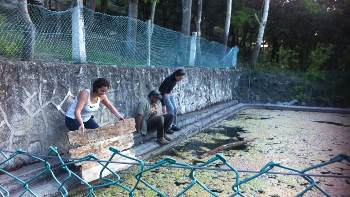 Voluntarios participantes en el estudio.