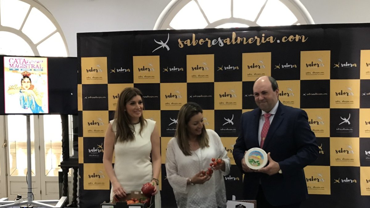 Presentación de la actividad en Diputación.