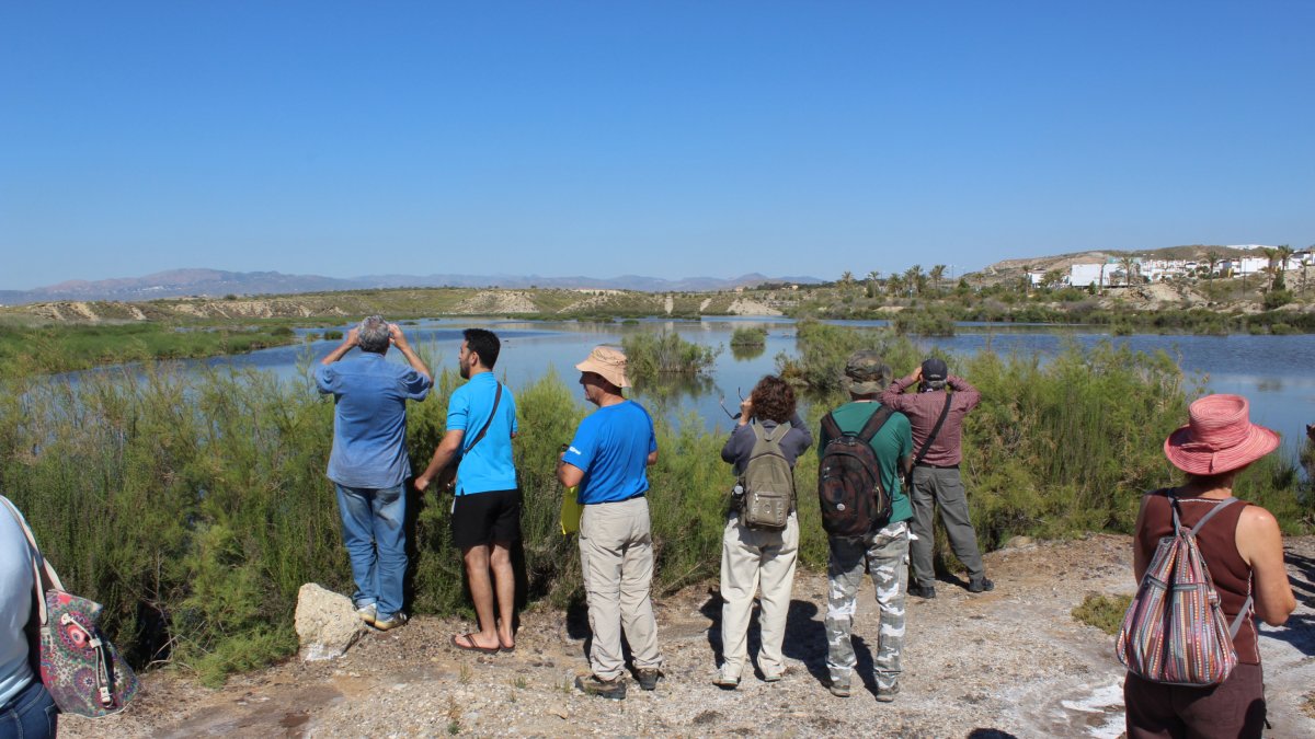 El salar de los Canos es uno de los humedales más importantes de la provincia, albergando hasta 15 especies animales en peligro de extinción.