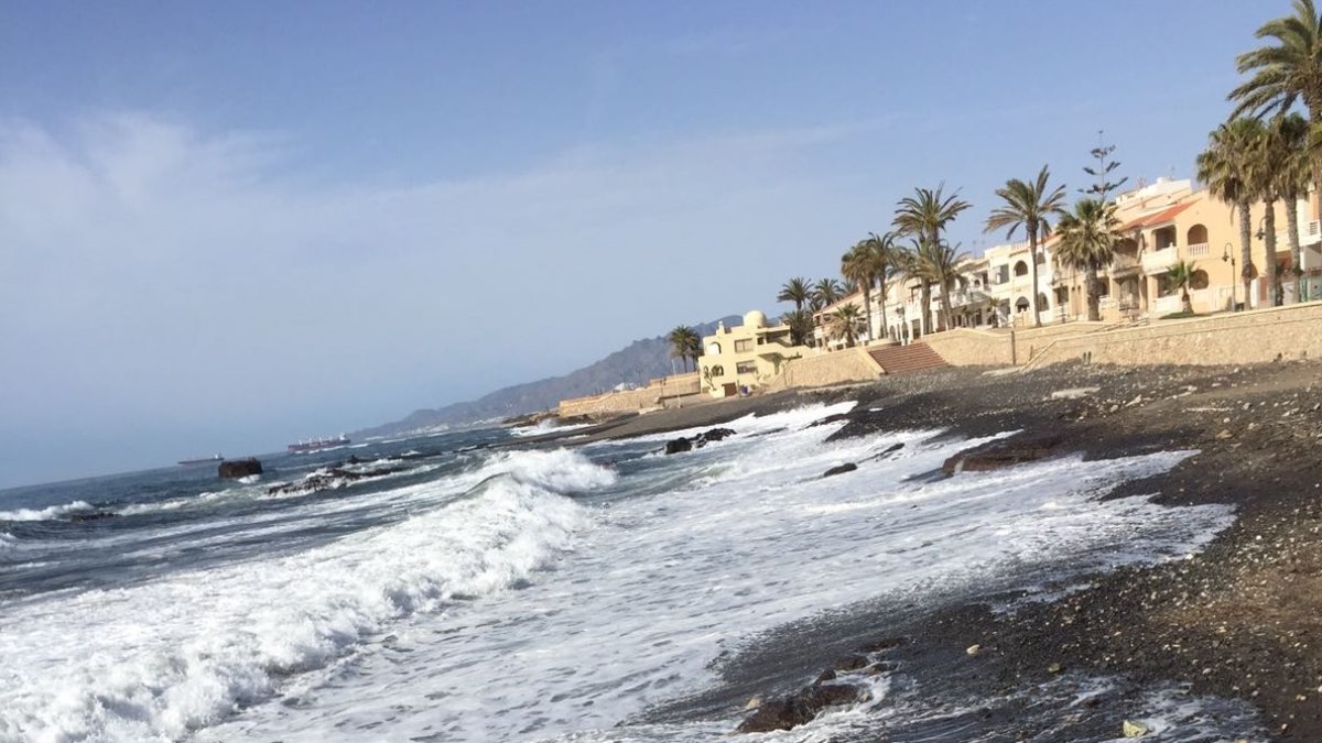 El animal muerto en la costa de Villaricos.