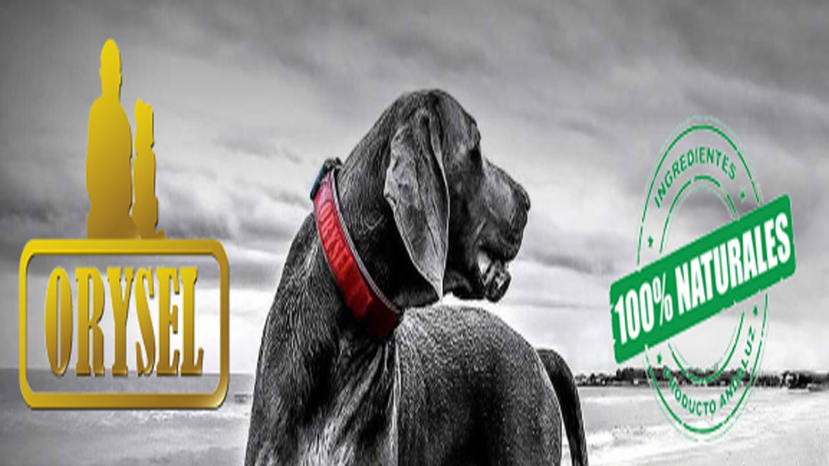 El pienso Orysel es del tipo completo y equilibrado.