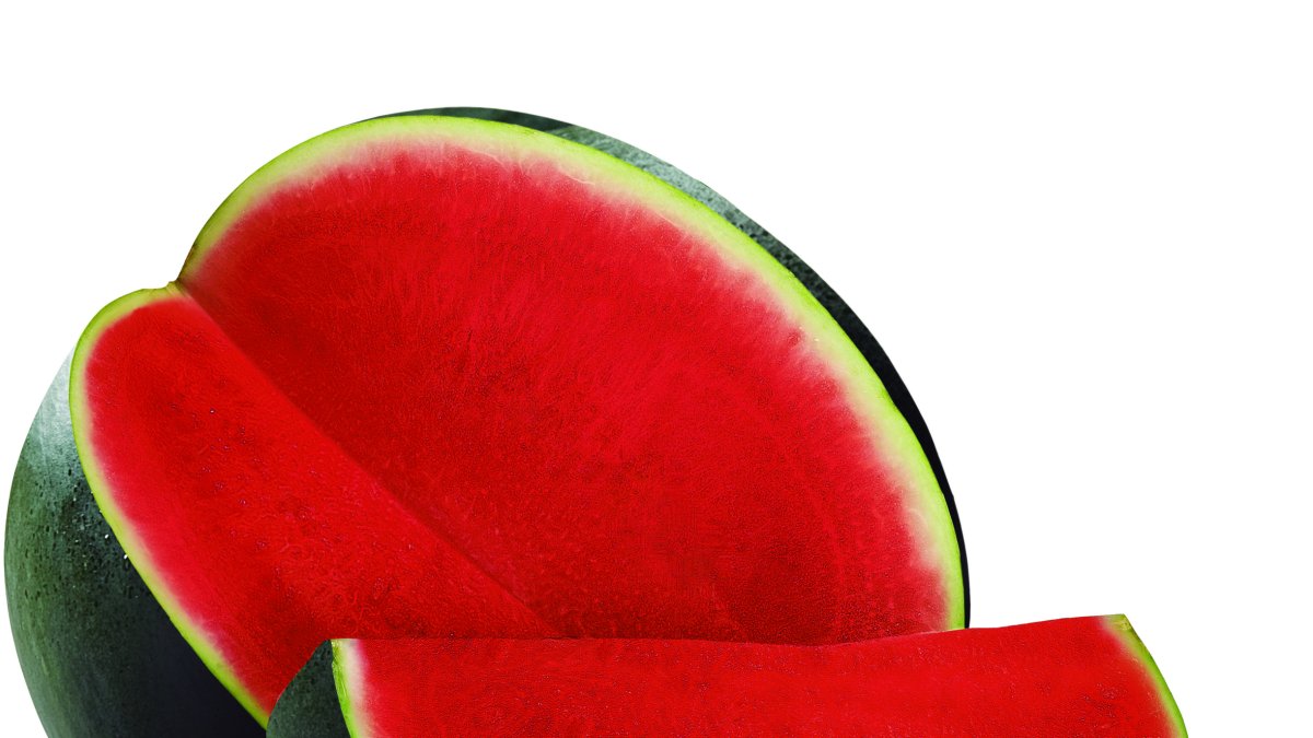 Sandía negra triploide de semillas Fitó.