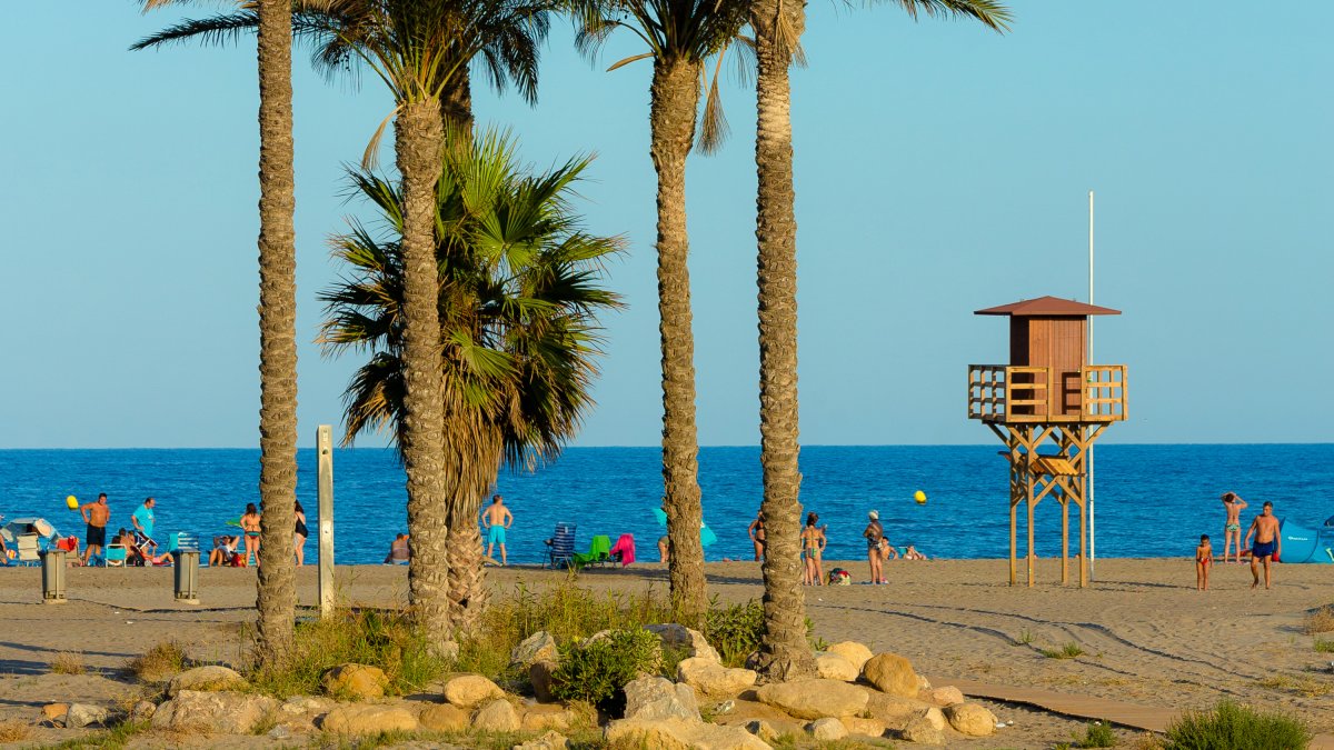 Vera ya ha presentado su candidatura para dar nombre al nuevo coche.