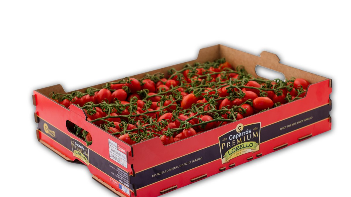 Lobello de Caparrós, una apuesta segura por el sabor en el tomate.