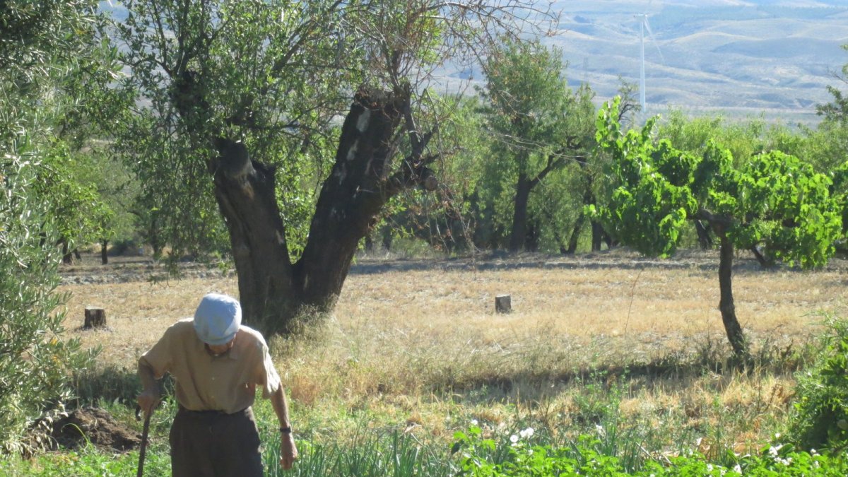 La biodiversidad es la memoria vegetal de un pueblo.