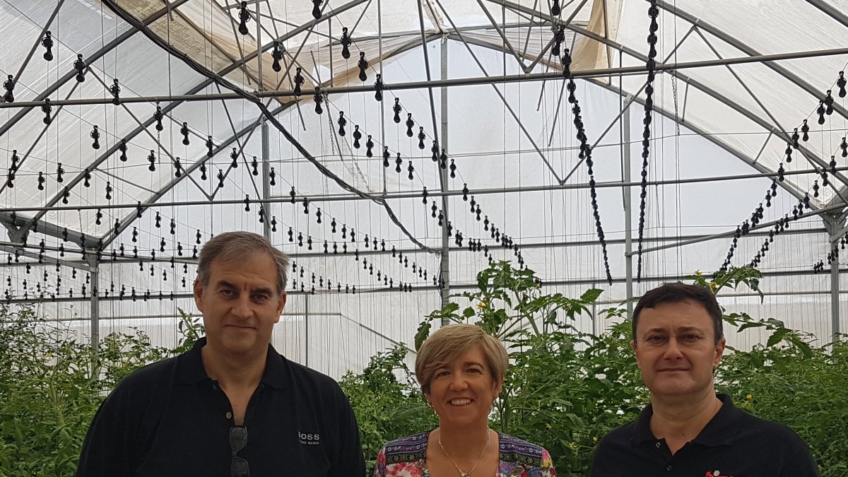 Los investigadores Ángel Carreño, Emilio Galdeano y Mari Carmen Galera