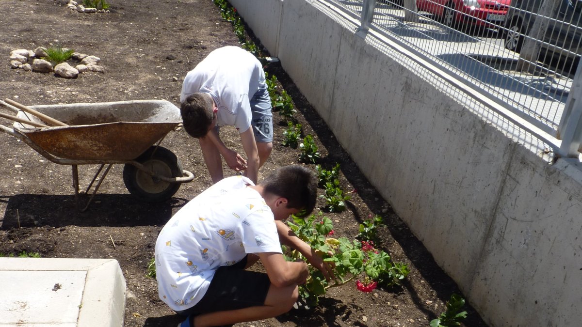 Alumnos realizando el trabajo de plantación.