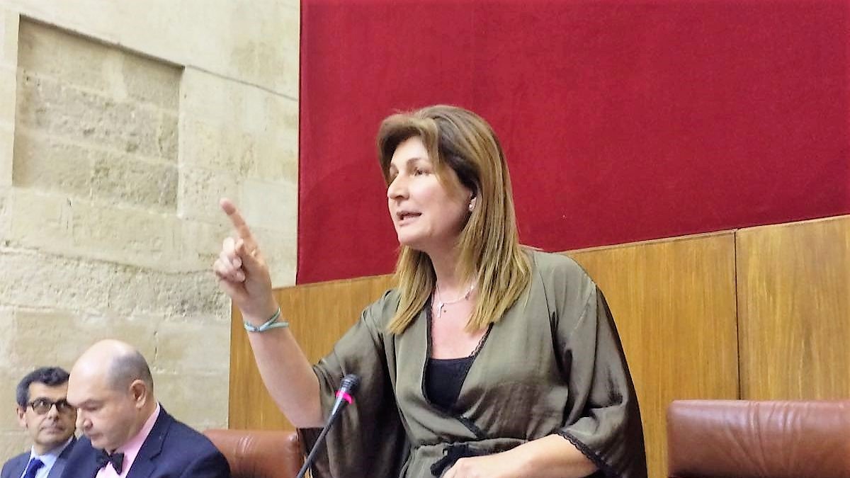 Rosalía Espinosa, parlamentaria por Almería del Partido Popular.