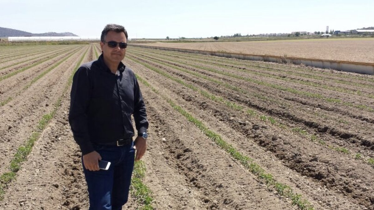 El director de Top Seeds Ibérica en España y Portugal, Francisco Maleno, en los campos de tomates industriales.