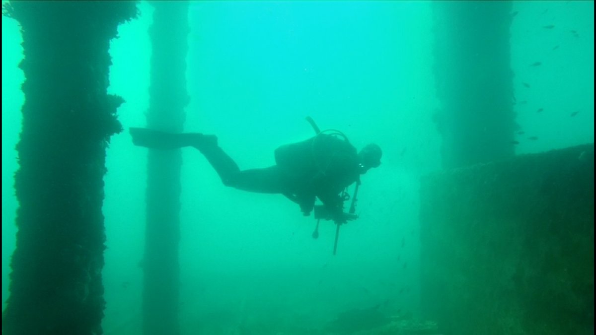 Buzo realizando la exploración.