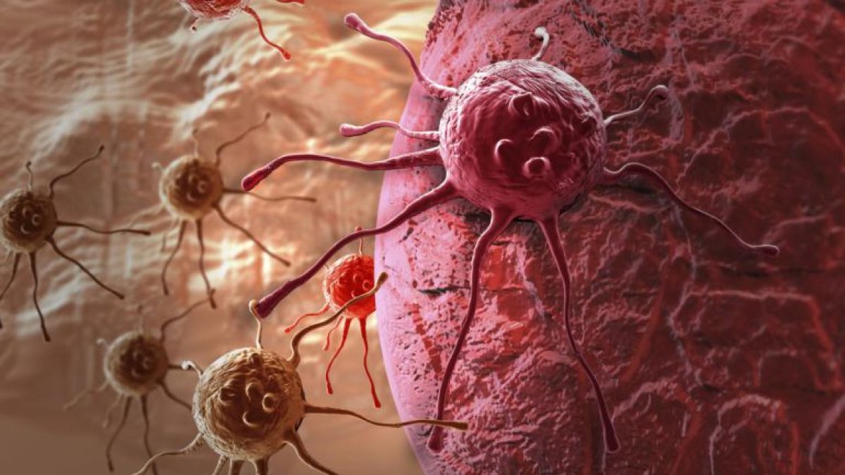 La investigación consiguió hacer frente a las células cancerosas.