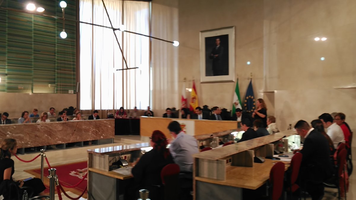 Vista general del Pleno del Ayuntamiento de Almería