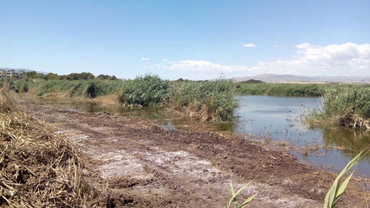 Obras de desbroce en el Salar de los Canos.