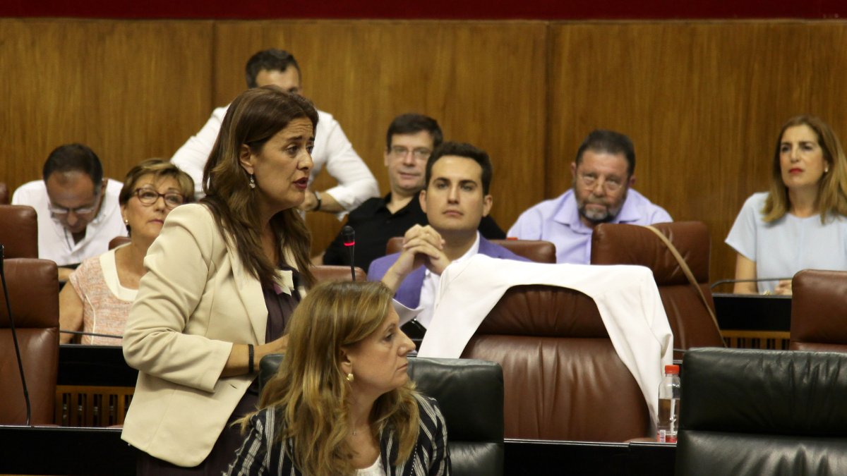 La consejera, en el Parlamento.