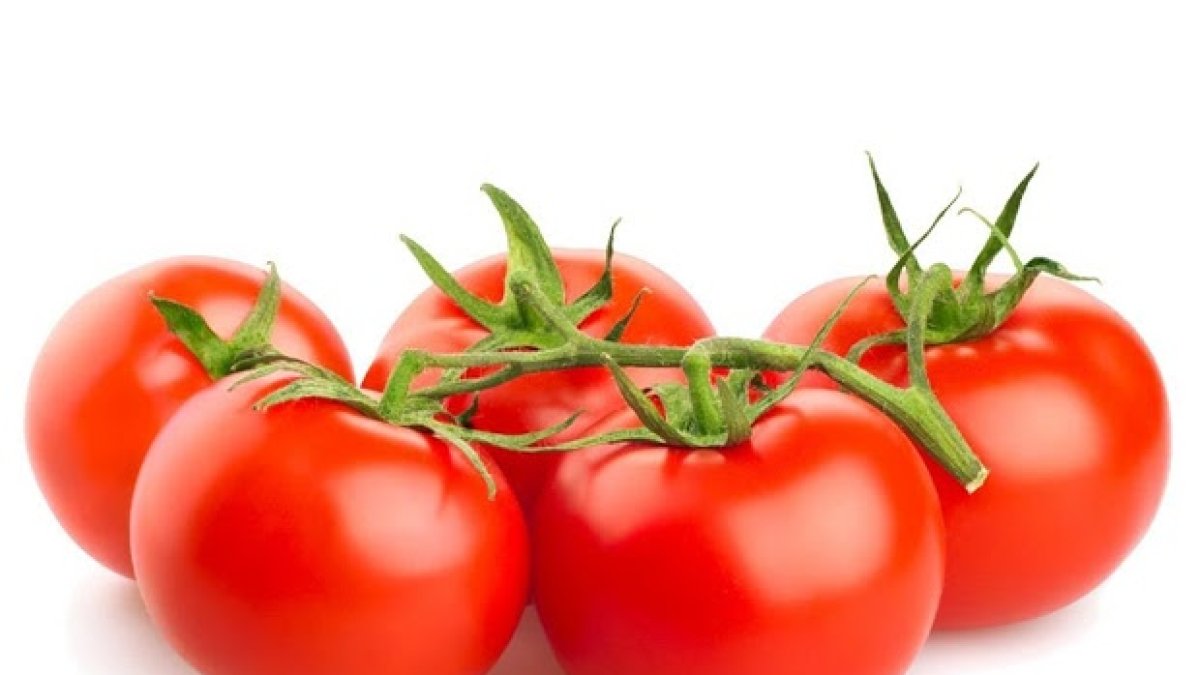 Almería es el mayor productor de tomates a nivel nacional.