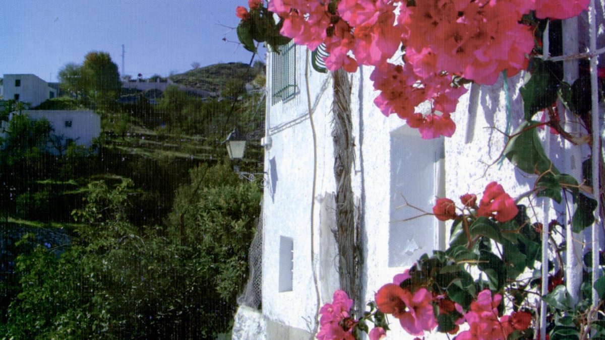 Estampa típica de Olula de Castro.