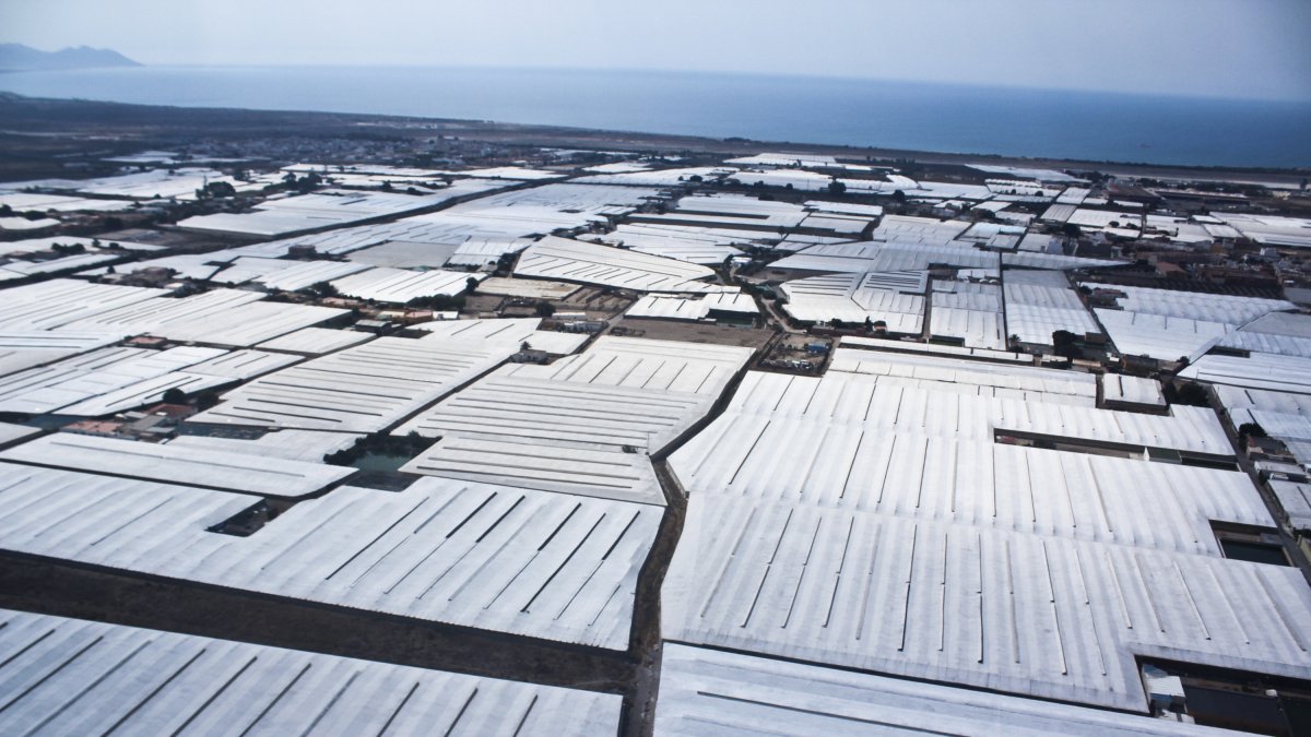Invernaderos en la Vega de Almería