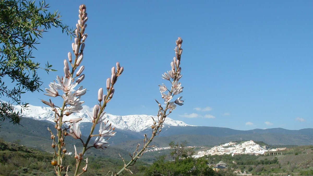 Imagen de archivo donde se aprecia el paisaje del Parque Nacional Sierra Nevada con sus montañas nevadas al fondo.