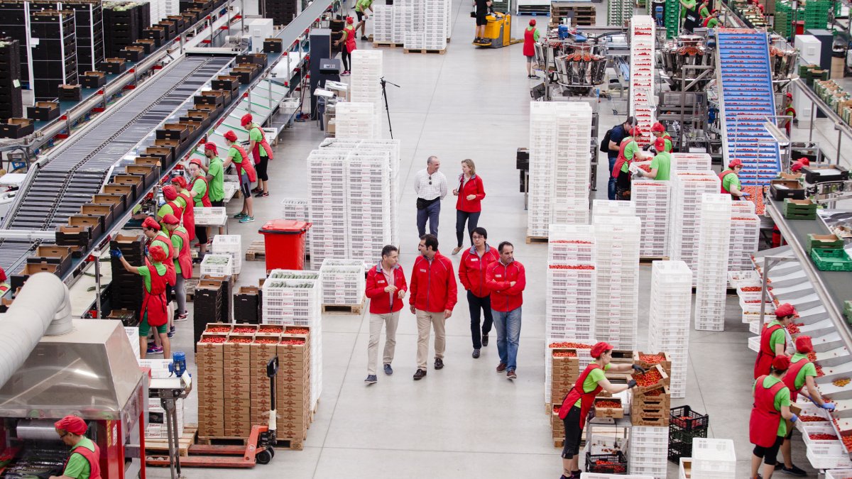 Recorrido por las instalaciones de Biosabor del alcalde y los ediles almerienses, guiados por su presidente.