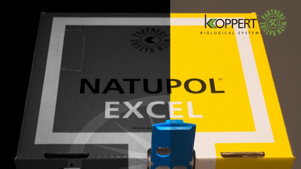 El sistema BeeVision® que incorpora la nueva colmena Natupol Excel® pude suponer una revolución en la polinización natural.