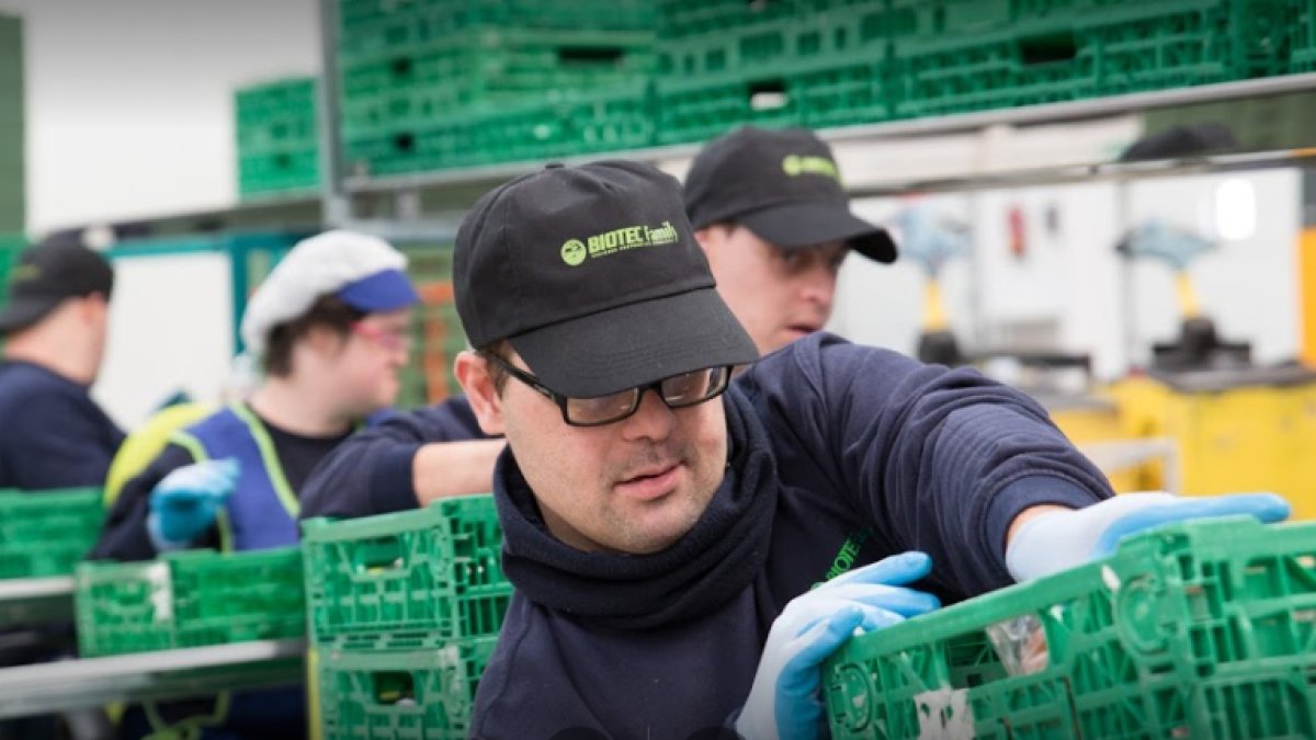 El uso de los sistemas TICs de Hispatec está generalizado entre las empresas más punteras del sector.