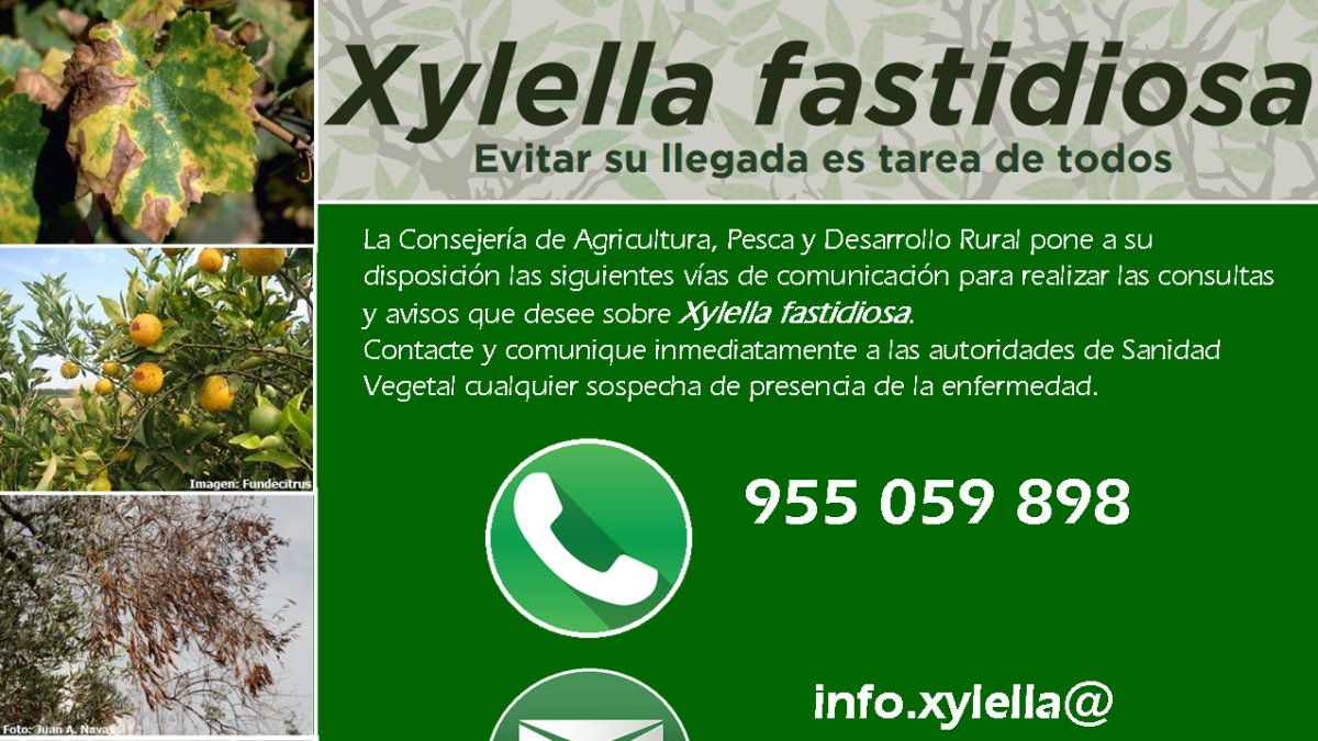 La Junta pone a disposición de todos los usuarios estos canales de contacto para mandar avisos o recibir información.
