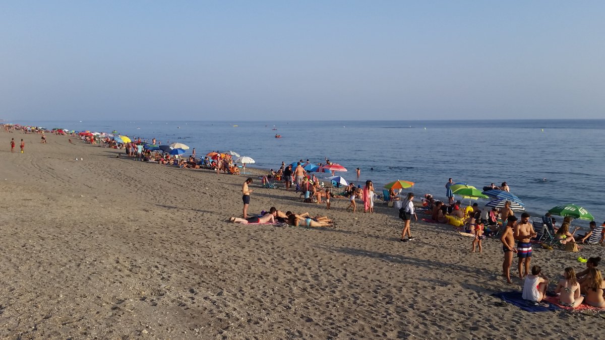 Ausencia Ahora mismo no existe un rincón donde ir con mascotas en el litoral.